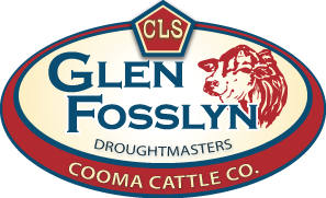 CLS Glen Fosslyn blue
