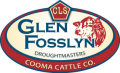thumb CLS Glen Fosslyn blue